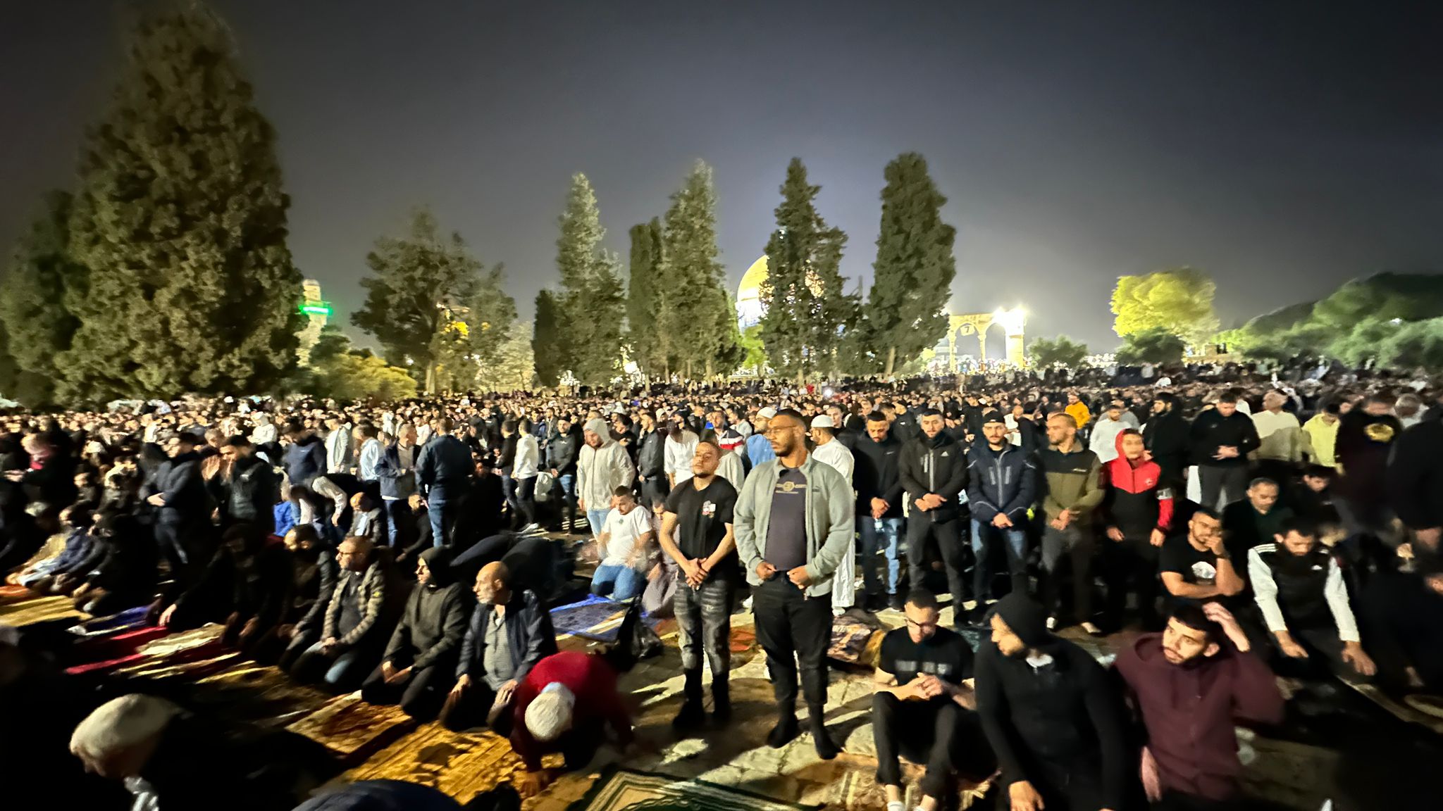 WhatsApp Image 2024-04-06 at 7.53.35 AM (1).jpeg